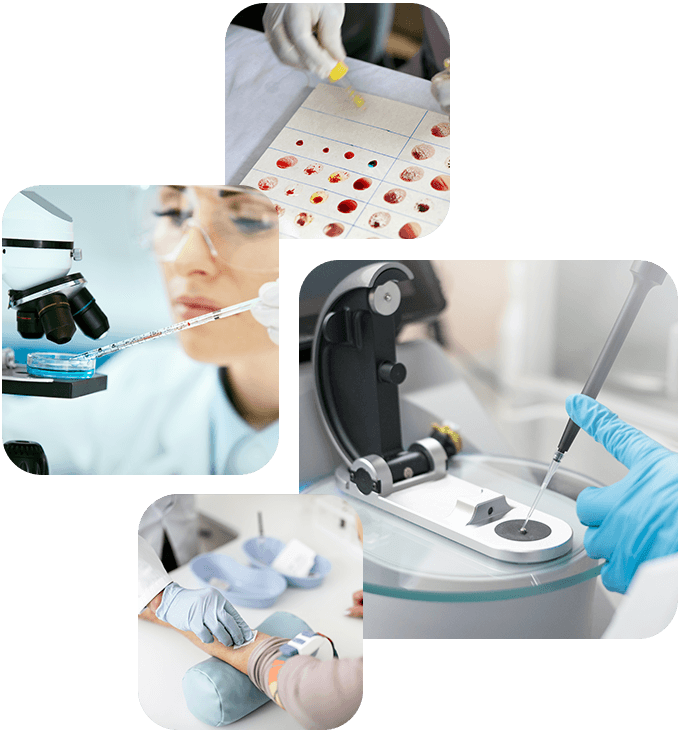 Experience https://eski.suved.com.tr/wp-content/uploads/2020/04/experience_01.png