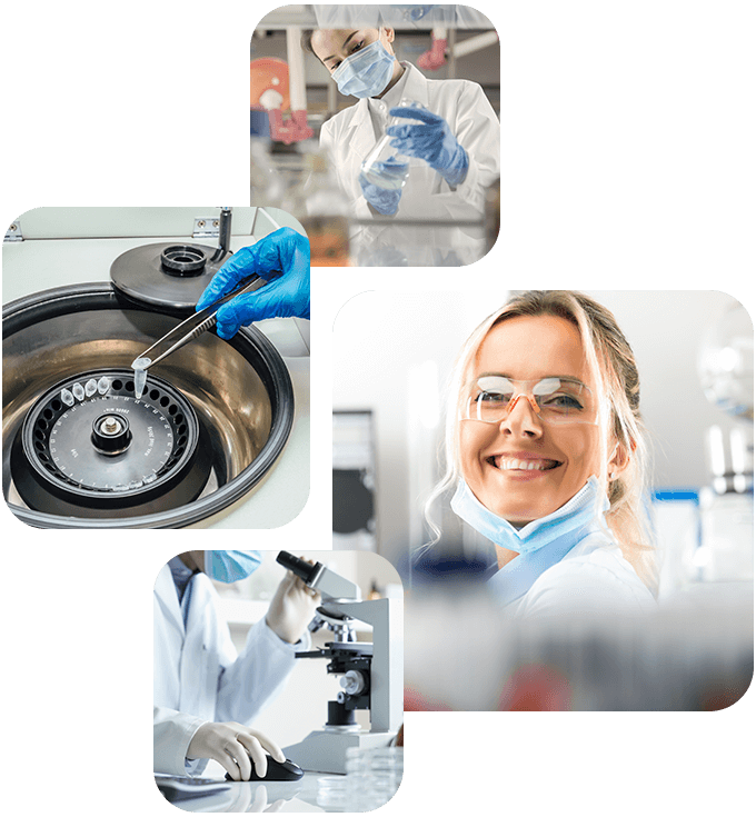 Experience https://eski.suved.com.tr/wp-content/uploads/2020/06/experience_10.png