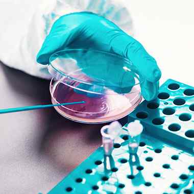 Experience https://eski.suved.com.tr/wp-content/uploads/2020/06/home_experience_07.jpg