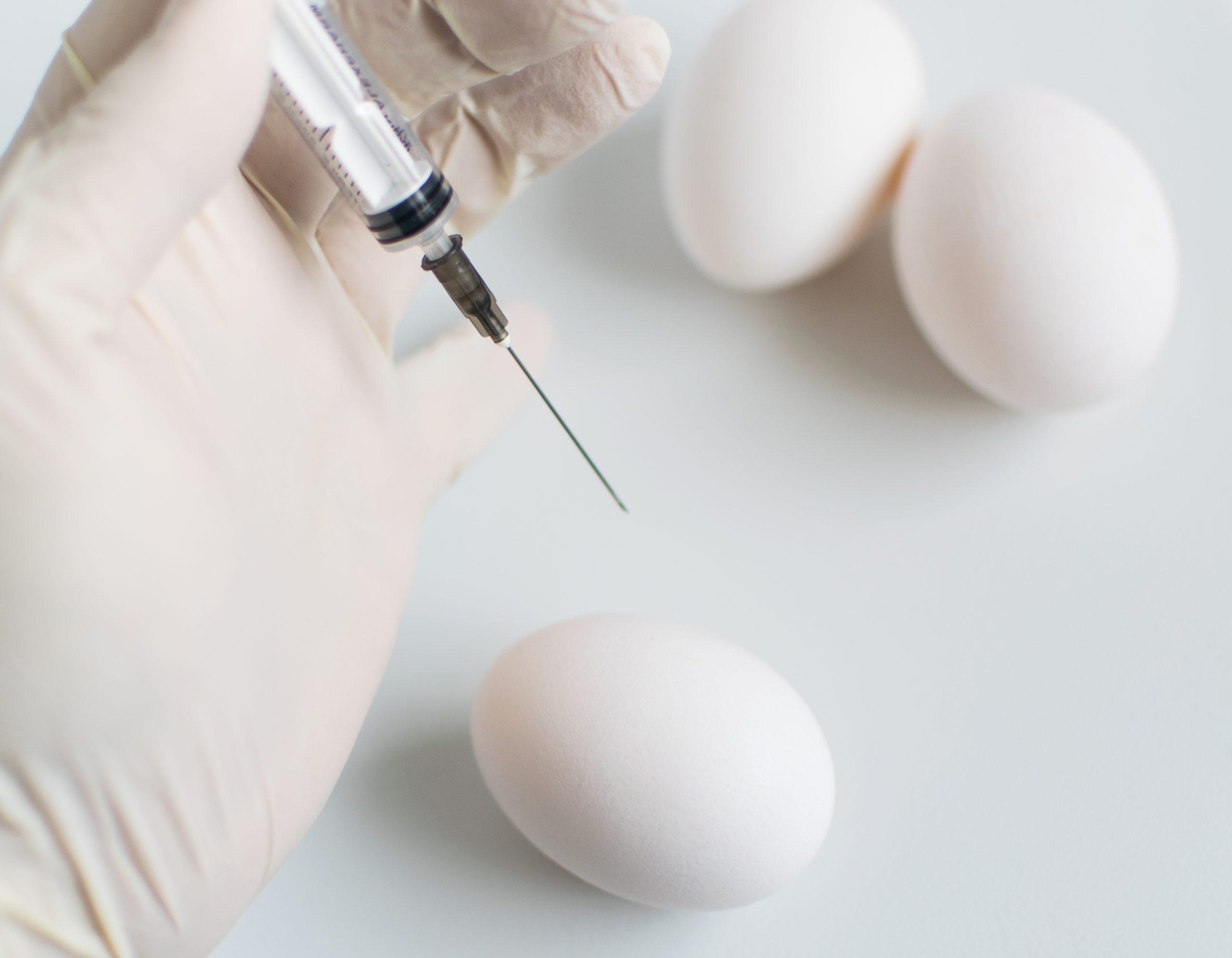 The concept of unnatural, chemical food. GMO. Chicken eggs and syringe. The concept of unnatural, chemical food. GMO. Chicken eggs and syringe.